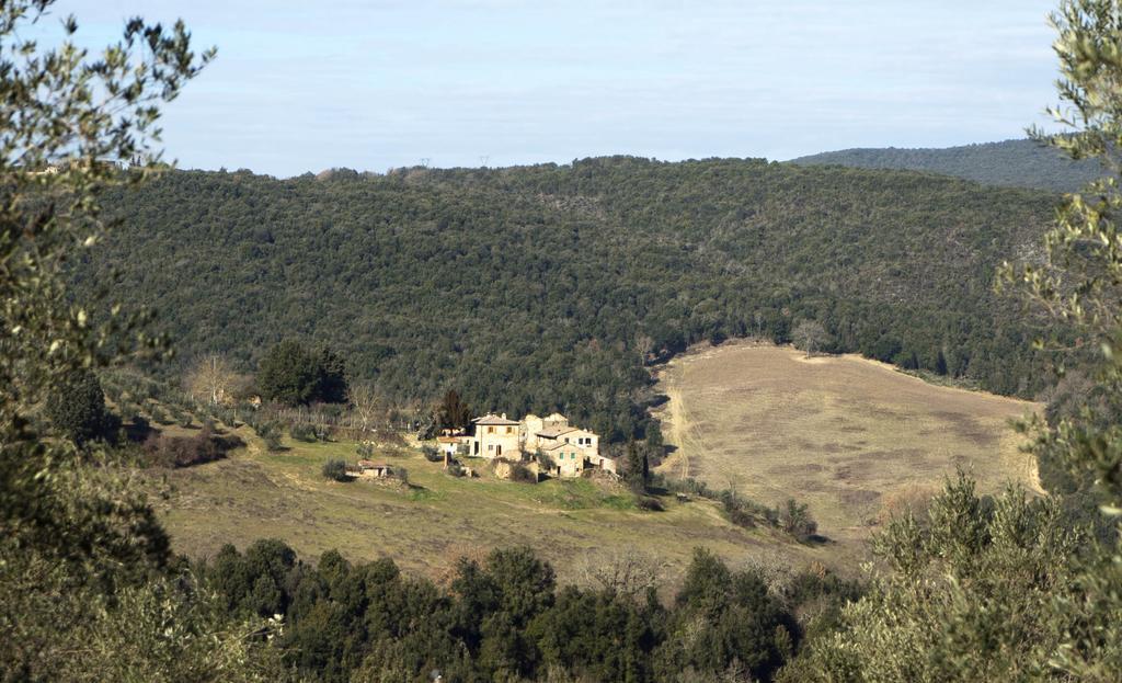 Appartamento Casa Ollie Castel San Gimignano Esterno foto